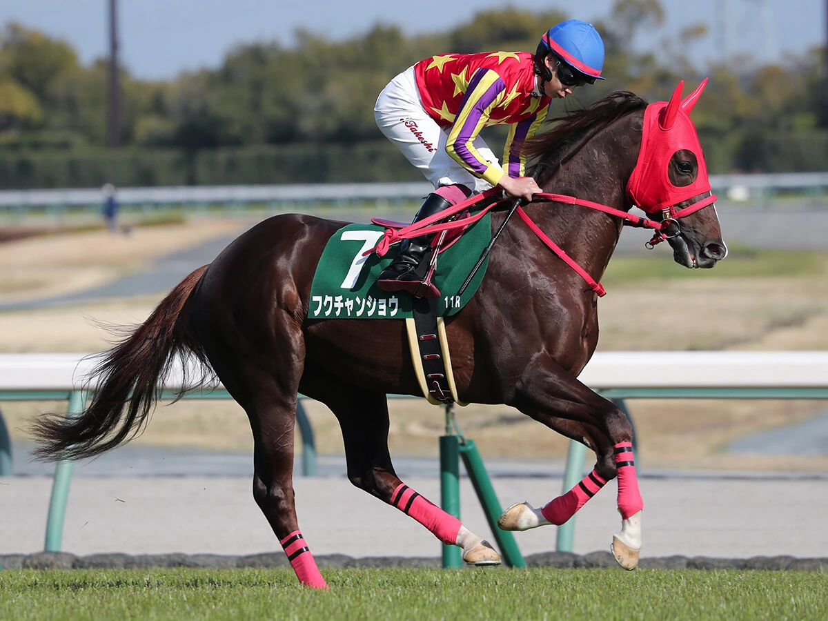 【競馬予想】NHKマイルＣは今年も100万馬券が飛び出すか!?　穴党記者推奨の「高配当の使者」２頭