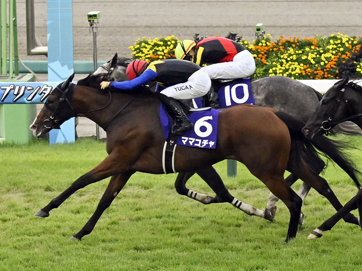 【競馬予想】スプリンターズＳはスターアニスが最有力　一発あるなら名手が華麗に導く古豪牝馬
