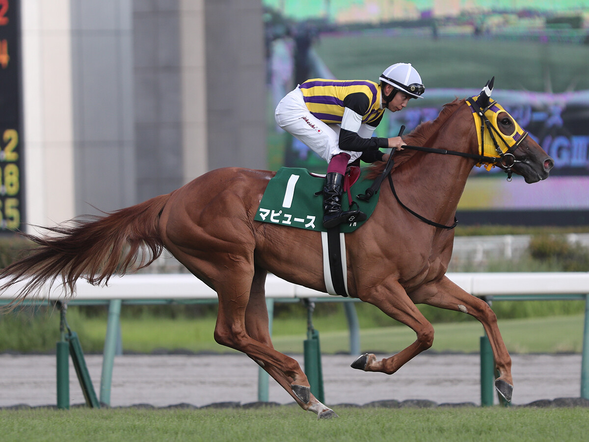 【競馬予想】「２強」が中心のヴィクトリアマイル　展開次第で一発が見込める３頭の穴馬候補