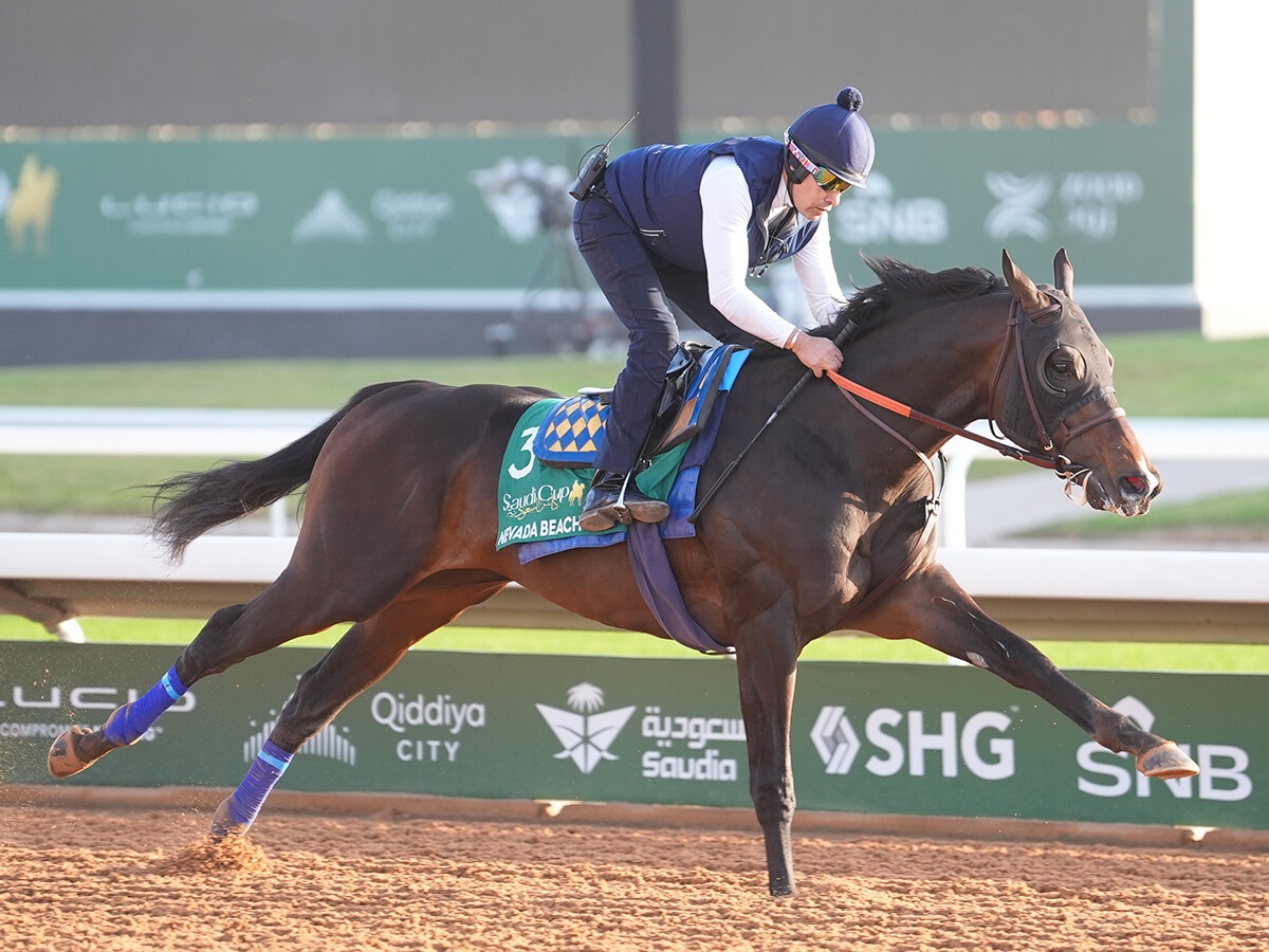 【競馬予想】サウジカップに臨む絶対王者フォーエバーヤングを脅かす存在はいるか？　気になる人気薄２頭