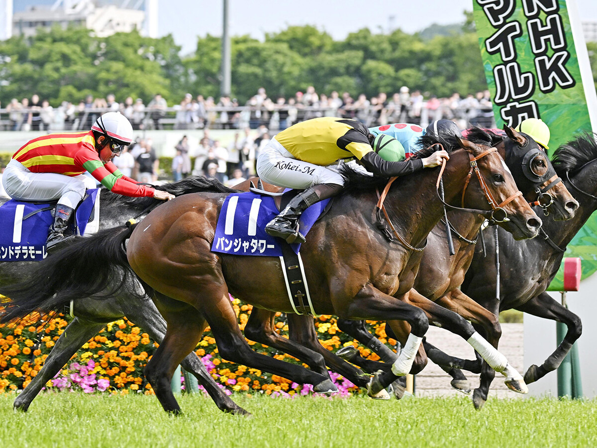 【競馬予想】高配当必至のスプリンターズＳ　ウインカーネリアンの激走を予見していた穴党記者オススメの２頭