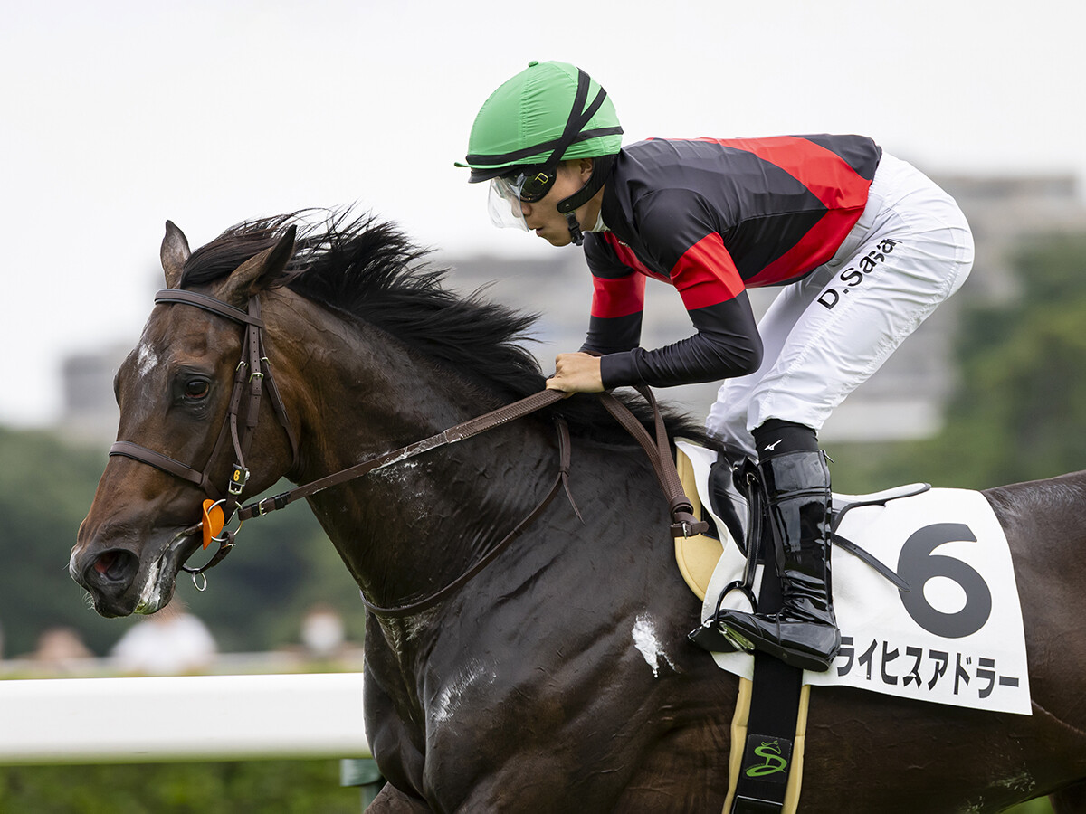 【競馬予想】アドマイヤクワッズが有力視される弥生賞　逆転あるなら皐月賞の出走権をもぎ取りにくる有力１勝馬