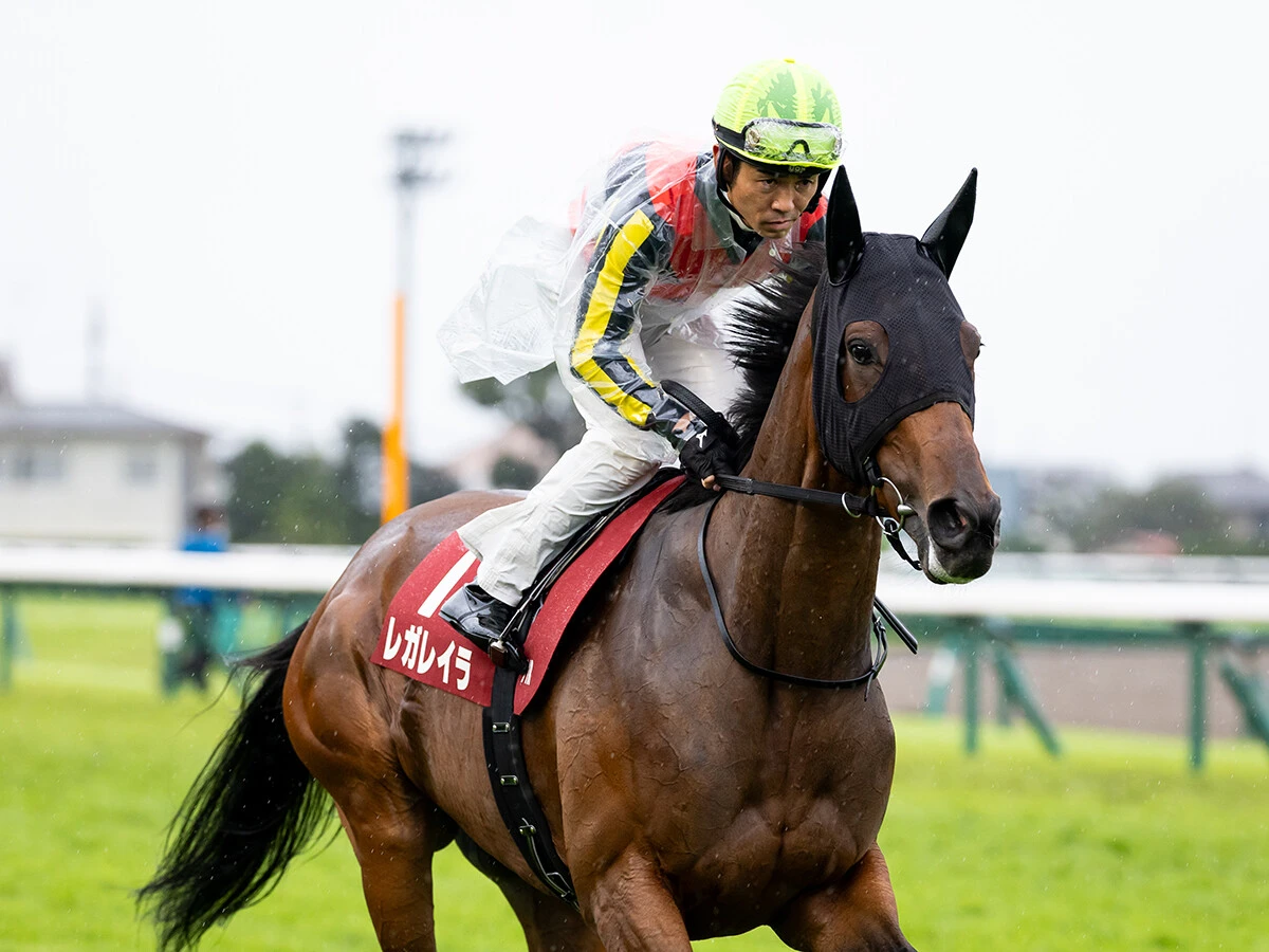 【競馬予想】天皇賞・秋は「２強」断然ムードでも波乱の余地あり　穴党記者が密かに狙う伏兵２頭