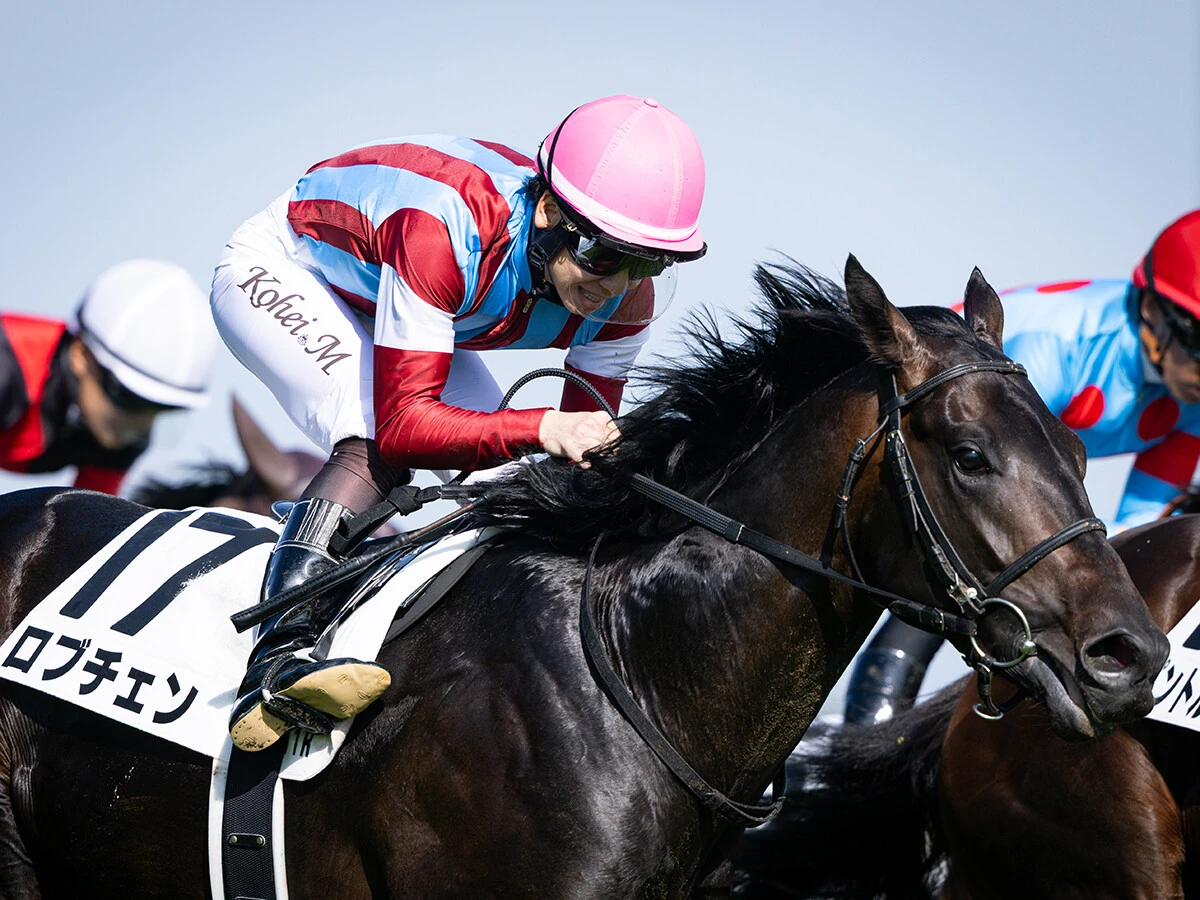 【競馬予想】菊花賞でロブチェンが三冠を達成する確率は？　気になるのは北海道で覚醒した良血馬