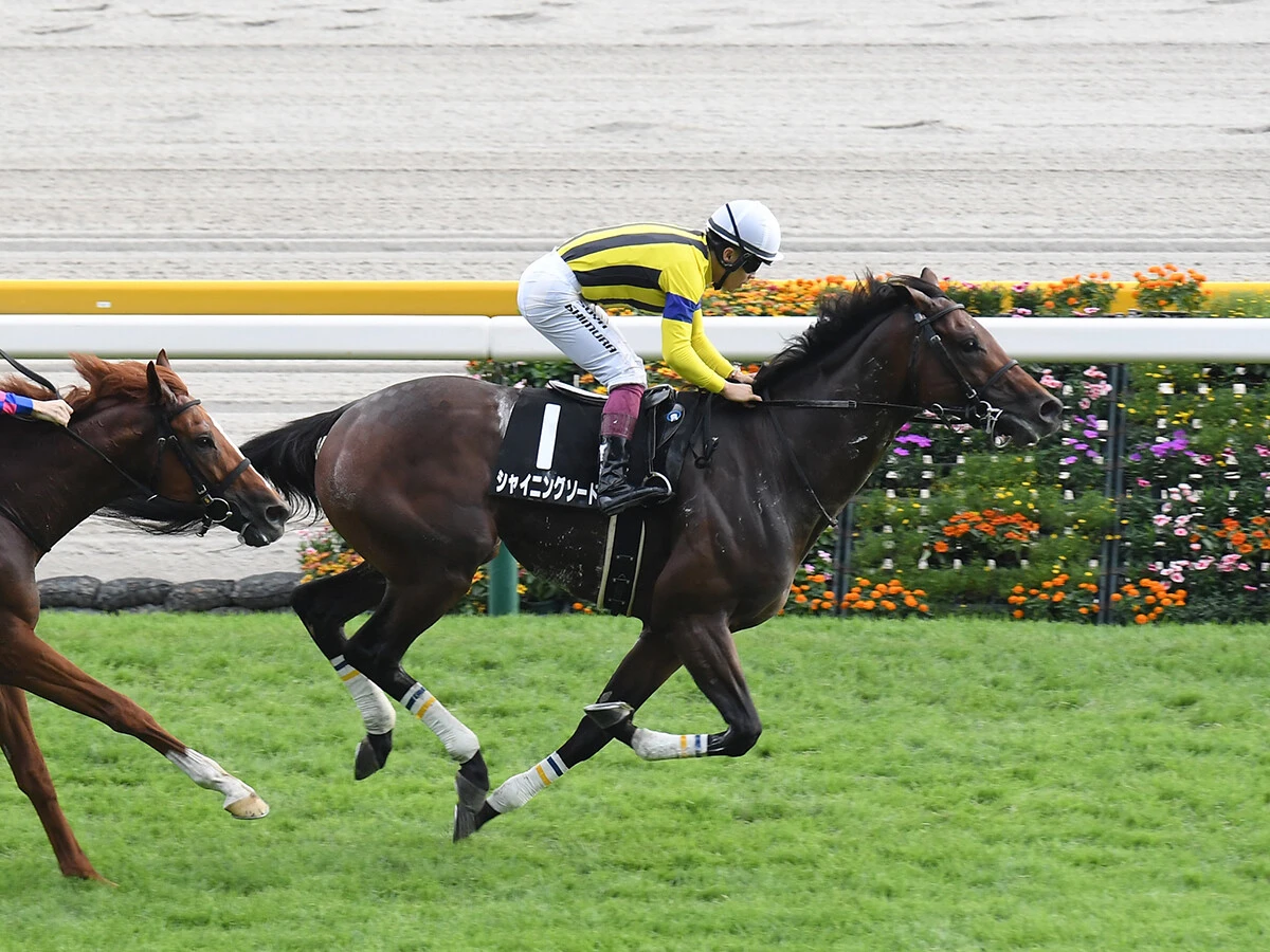 【競馬予想】日経新春杯は伸び盛りの明け４歳馬が有力も、遅咲きの良血馬にも要注意！