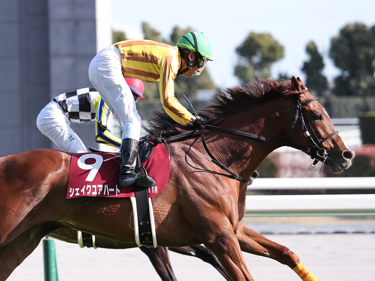【競馬予想】札幌記念は波乱必至！　過去10年１番人気未勝利の難解なレースで穴党記者が推す２頭