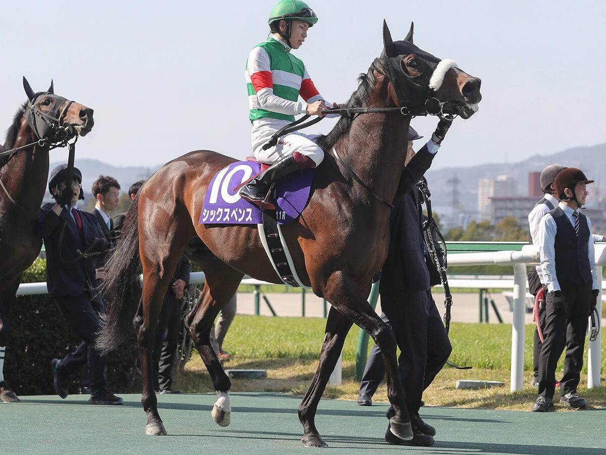 【競馬予想】フェブラリーＳは人気のダブルハートボンドが有力　同馬との組み合わせでも好配当が見込める穴馬２頭