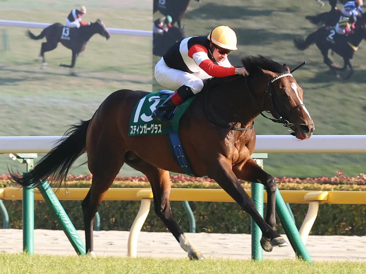 【競馬予想】宝塚記念は舞台合うミュージアムマイルが最有力　同じく好走条件がハマる伏兵にも一発の期待