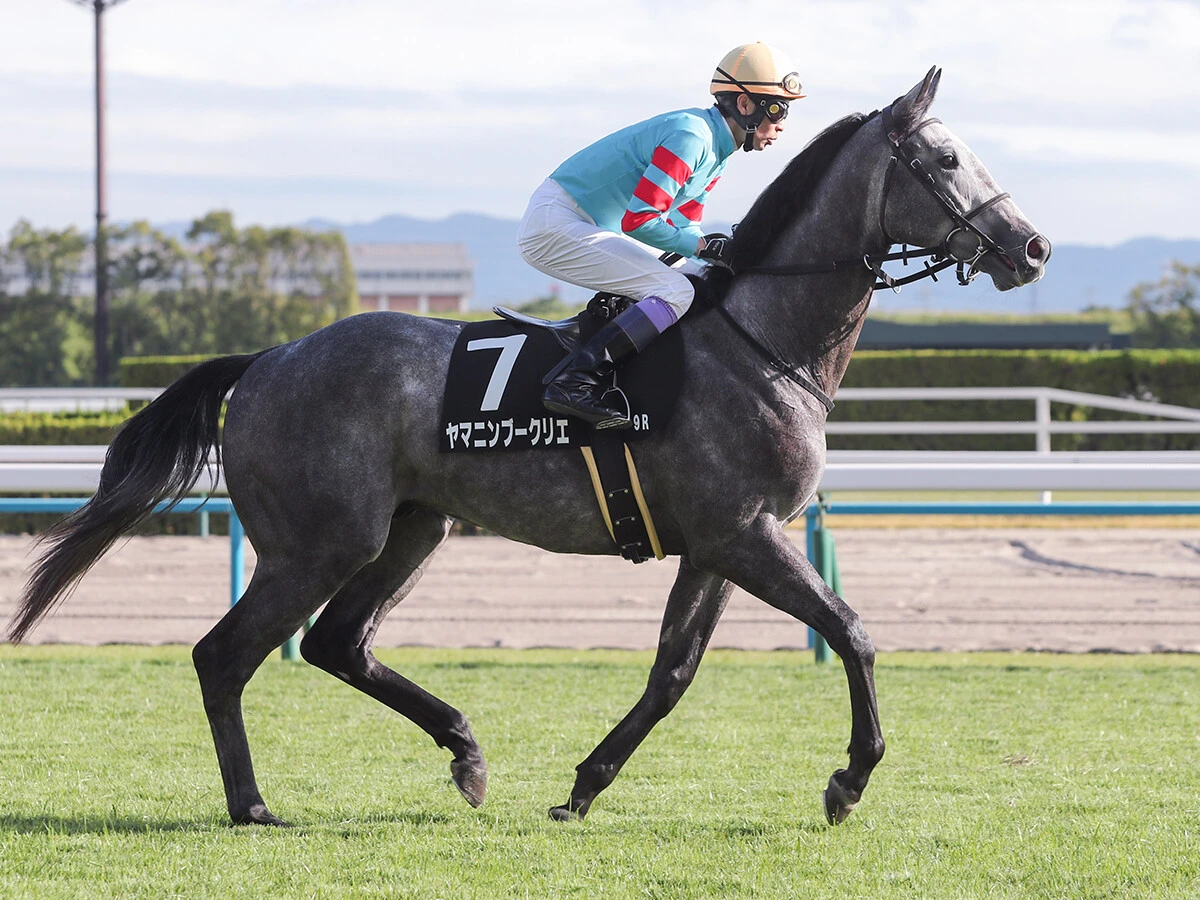 【競馬予想】「とにかく荒れる」七夕賞　先行勢に有力馬がそろうなか、機動力秘めた４歳馬の一発に要注意