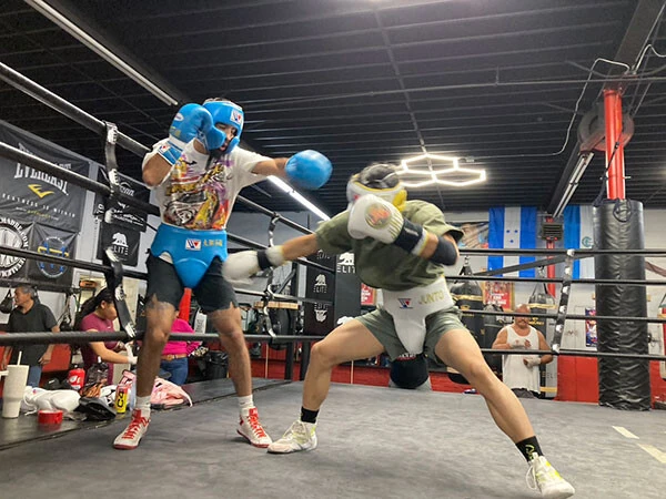 スパーリング中の中谷（右）とカルデナス