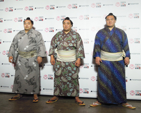 「３横綱時代」に突入した大相撲。左から鶴竜、日馬富士、白鵬。