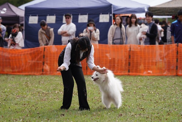 大会でも上位成績を残している 写真／大沢さん提供
