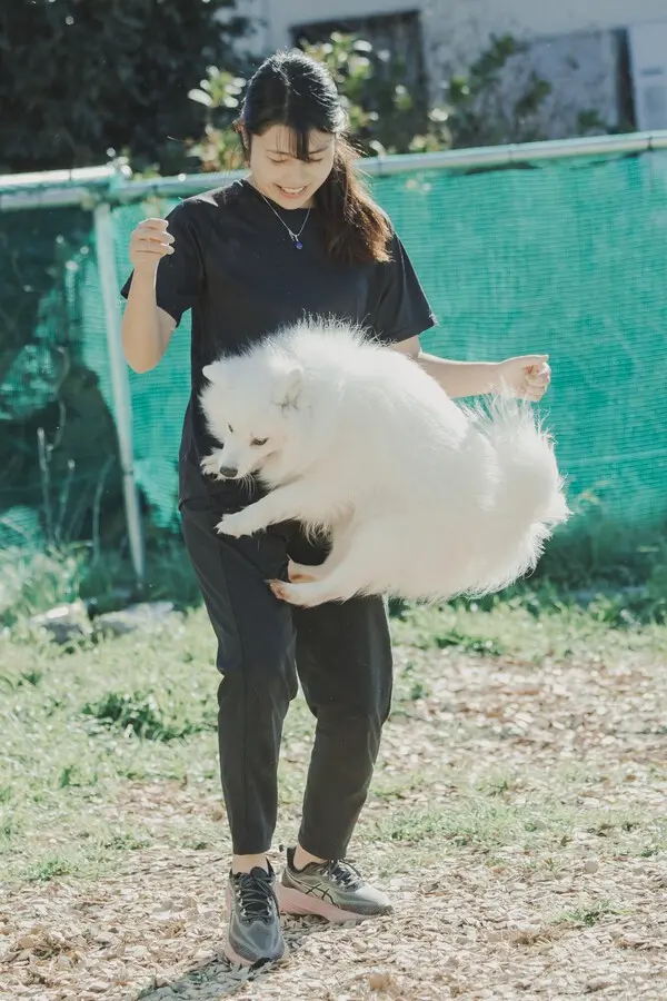 ジャンプしたり立ち上がったり、その動きはまさにアスリートドッグ