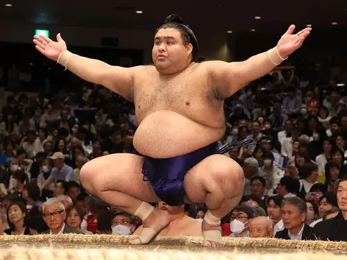 髙安は「雑草魂」を胸に、関取として戦い続けている　photo by Sankei Visual