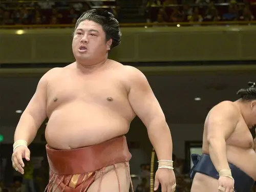 上位陣との真っ向勝負が多くのファンを引きつけた嘉風　photo by Kyodo News