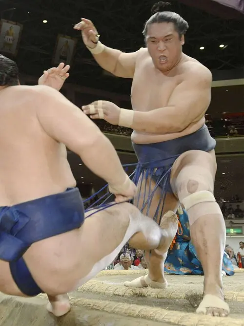 いばらの道を歩み、相撲の喜びを知った豊真将　photo by Kyodo News