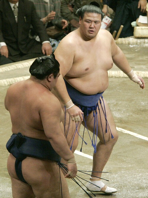 力と技を併せ持ち、躍動感あふれる相撲を最後まで貫いた土佐ノ海　photo by Jiji Press