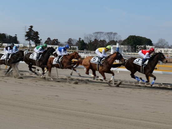 JRA競馬学校では本番さながらの模擬レースも実施