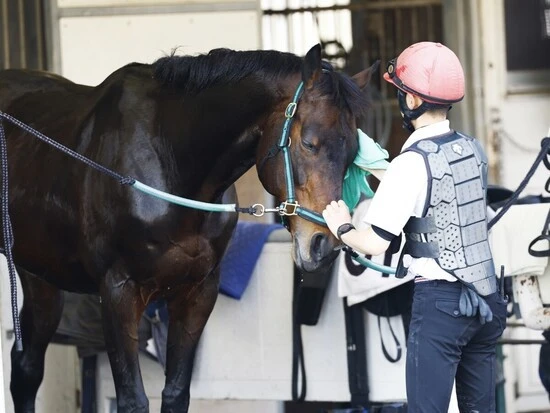 厩舎作業では掃除をしたり騎乗する馬の体を拭いたりする