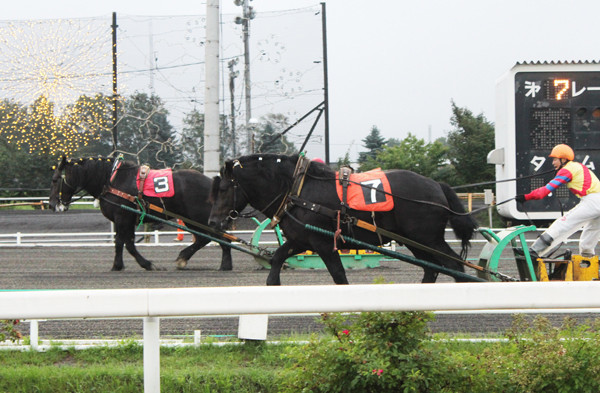 最初に勝負した７レース。直線に入ると、３番と７番の馬が抜け出したが...記事を読む＞カンが勝負の旅打ちも、ばんえい競馬には「勝利の法則」がある!?photo by Niiyama Airo
