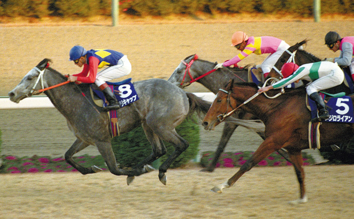 希代の名馬オグリキャップ。同馬が育った笠松競馬場へ。記事を読む＞西の「旅打ち」は、オグリキャップを生んだ笠松競馬の特別席からphoto by Kyodo News