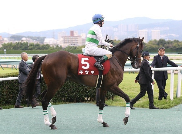 トライアルの神戸新聞杯ではレイデオロに次ぐ２着だったキセキphoto by Yamane Eiichi／AFLO記事を読む＞ダービー１～３着馬不在の菊花賞。ならば、キセキの奇跡がきっとある