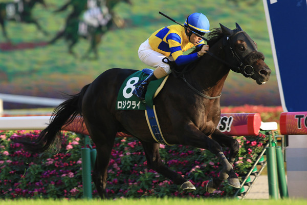 初のＧＩ出走でも上位争いが期待されるロジクライphoto by Yasuo Ito/AFLO記事を読む＞マイルCSでは、直前の重賞勝ち馬と４番人気の馬が幸運を運んでくる