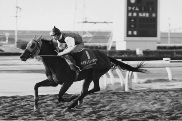 地方馬ながら中央のＧＩの舞台で奮闘したライデンリーダーphoto by Kyodo News記事を読む＞フィリーズレビューで思い出す、地方馬ライデンリーダーの「凄い脚」