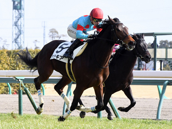 新馬戦、２戦目と能力の片鱗を見せた良血馬、サラキアphoto by Nikkansports記事を読む＞フローラＳから「オークスでアッと言わせる馬」はいるか、いないか