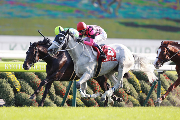 初のＧＩ制覇を目指すスマートレイアーphoto by Eiichi Yamane/AFLO記事を読む＞大阪杯は「ＧＩ馬に勝てるわけねーよ」と思われた穴馬４頭が大暴れだ