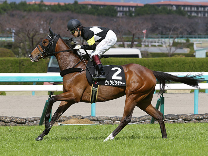 ディープインパクト産駒のビックピクチャーphoto by Eiichi Yamane/AFLO記事を読む＞ローズＳはディープインパクト産駒に注目。人気薄馬でも成績はいいぞ