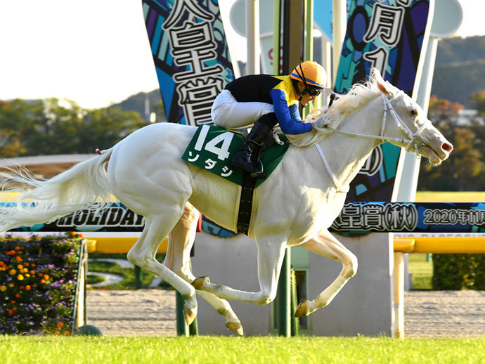 前走のアルテミスＳを勝利したソダシphoto by Sankei Visual記事を読む＞阪神JFでソダシが充実も鉄板ではない。ハイペース、不良馬場で気になる２頭