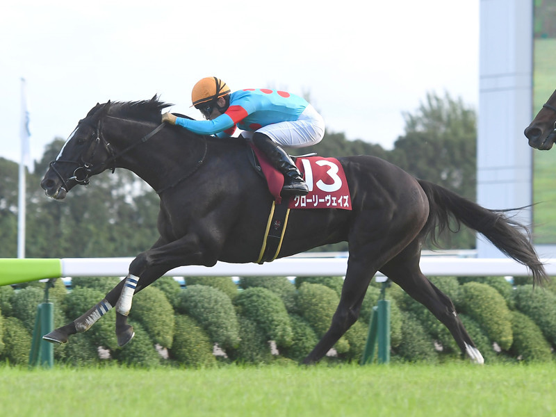 昨年10月の京都大賞典で勝利したグローリーヴェイズphoto by Sankei Visual記事を読む＞金鯱賞はデアリングタクトにつけ入る隙。三冠牝馬を脅かしそうな２頭は？