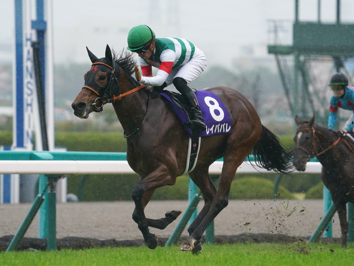今年４月にＧⅠ大阪杯を勝利したレイパパレphoto by Sankei Visual記事を読む＞エリザベス女王杯の本命、レイパパレとアカイトリノムスメを徹底比較。もう１頭気になる血統馬も