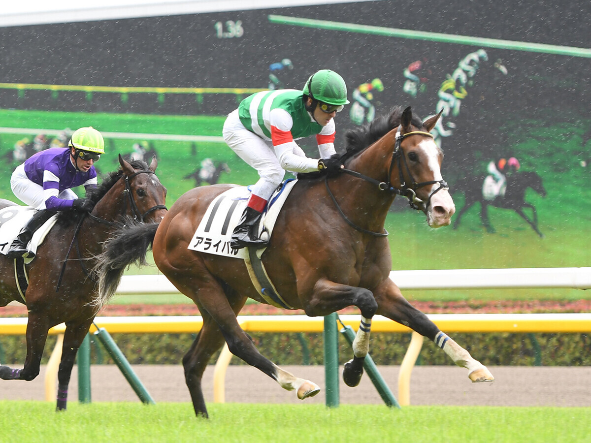 昨年６月19日の新馬戦で勝利したアライバルphoto by Tokyo Sports/AFLO記事を読む＞京成杯は「中山／芝2000ｍ」の適性を血統から分析。重賞初勝利に期待の２頭をピックアップ