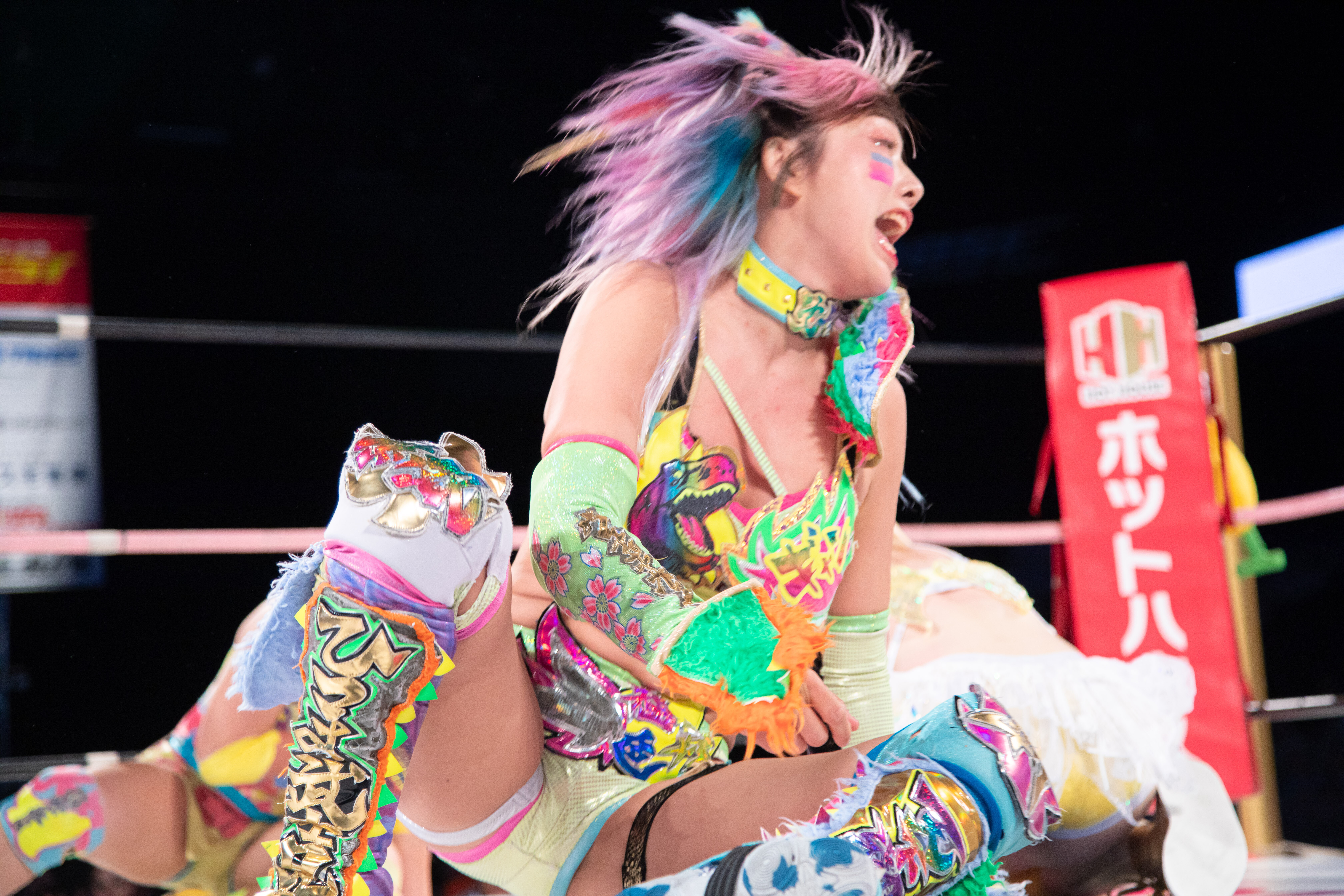 センダイガールズプロレスリング　ゼビオアリーナ仙台大会　熱狂フォトギャラリー (4ページ目)