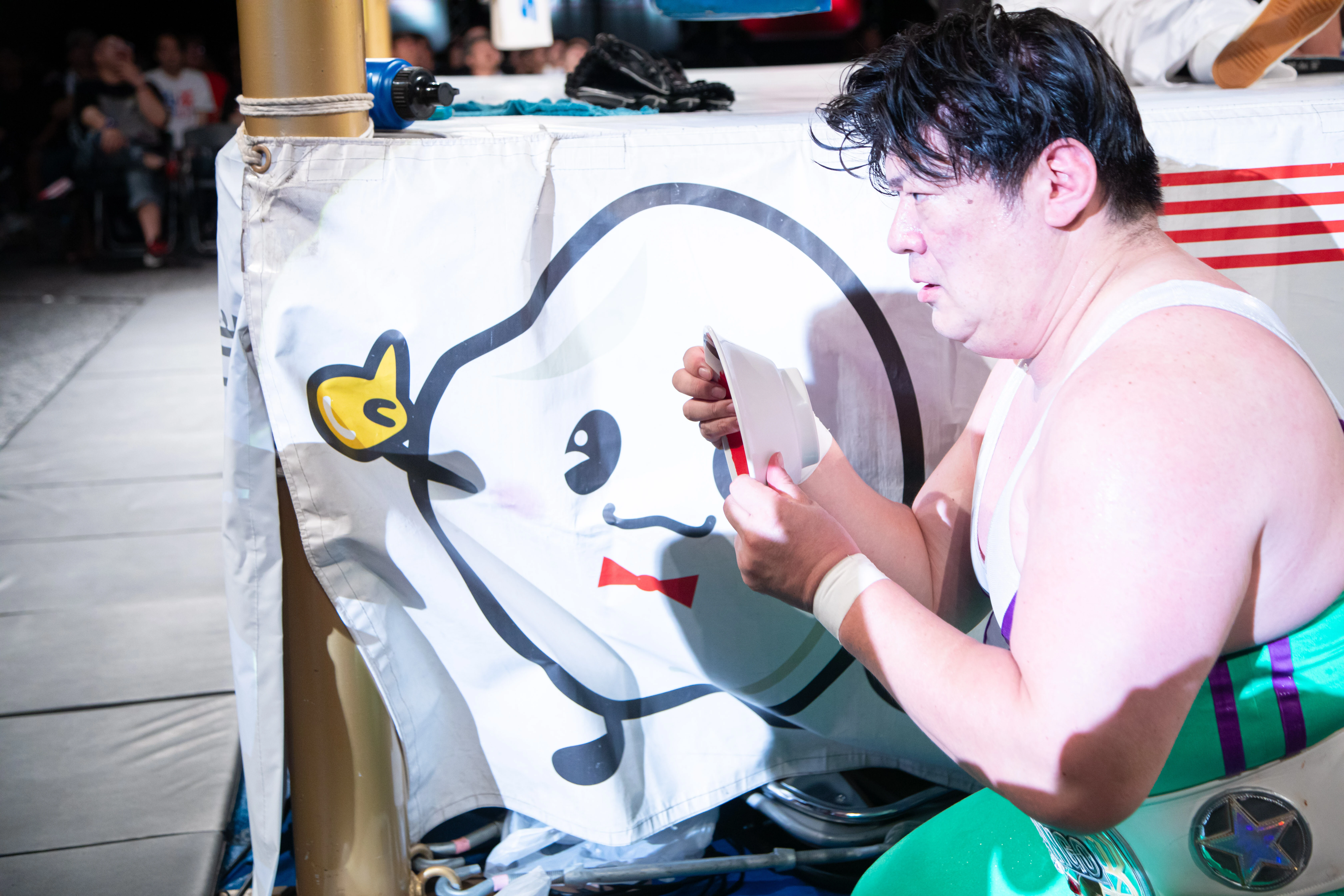 センダイガールズプロレスリング　ゼビオアリーナ仙台大会　熱狂フォトギャラリー (15ページ目)