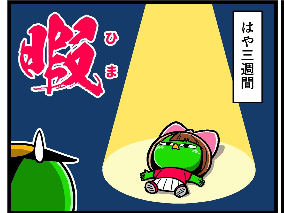 【他サポ夫婦】　第223回