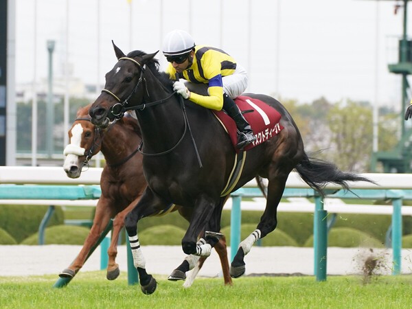 前走の阪神牝馬Ｓを勝利したマスクトディーヴァ　photo by Sankei Visual
